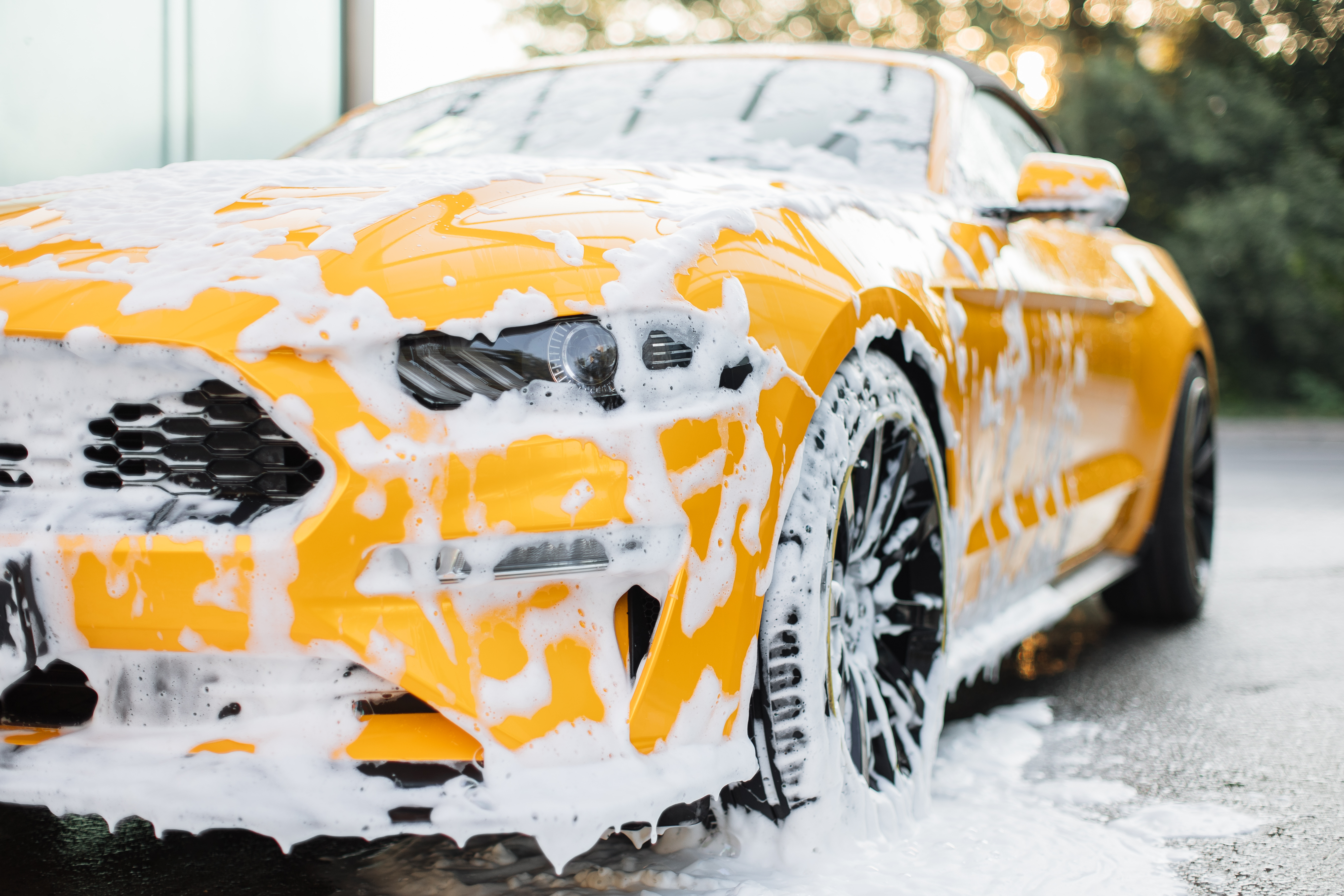 Mobile auto detailing